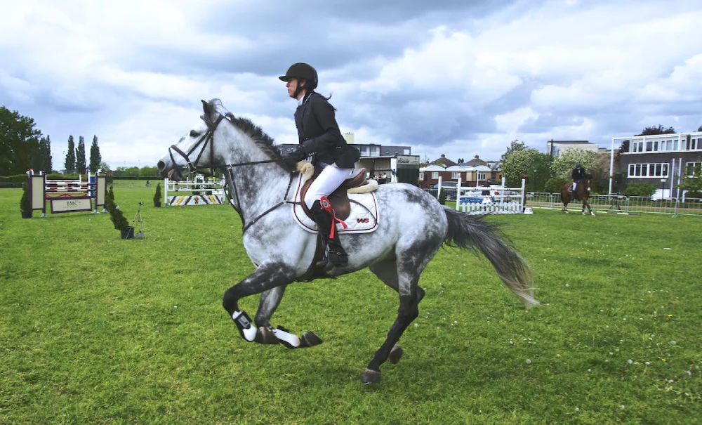 Horseback Riding Equipment