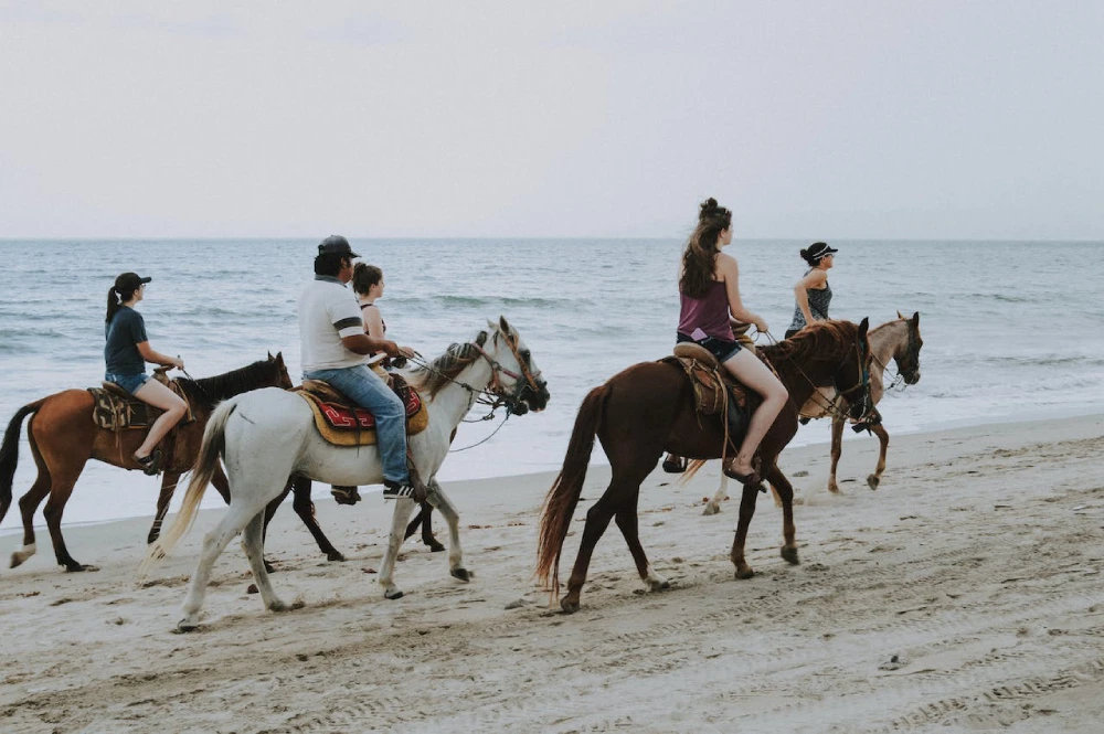 Horseback Riding on the Beach